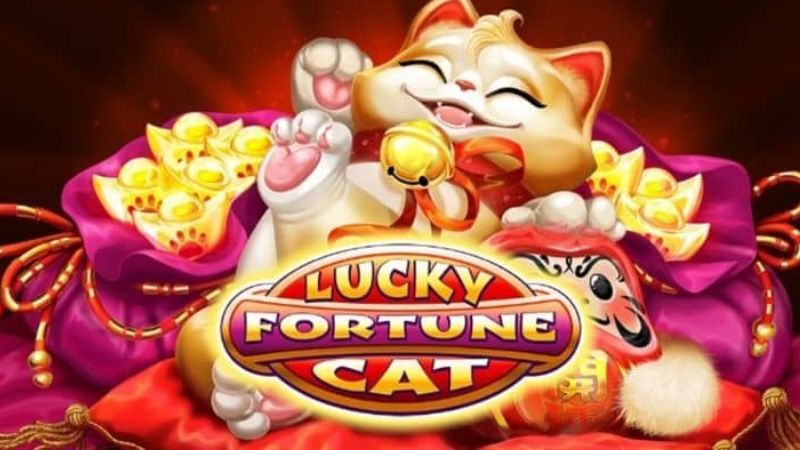 Game mèo phú quý nổ hũ đổi thưởng cực khủng